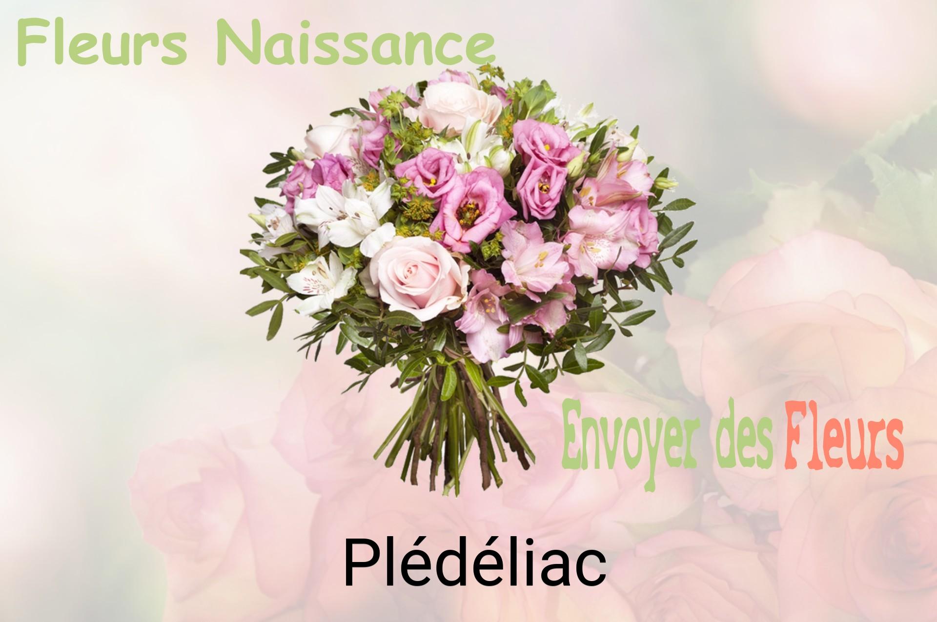 Bouquet de fleurs de naissance livré à Plédéliac