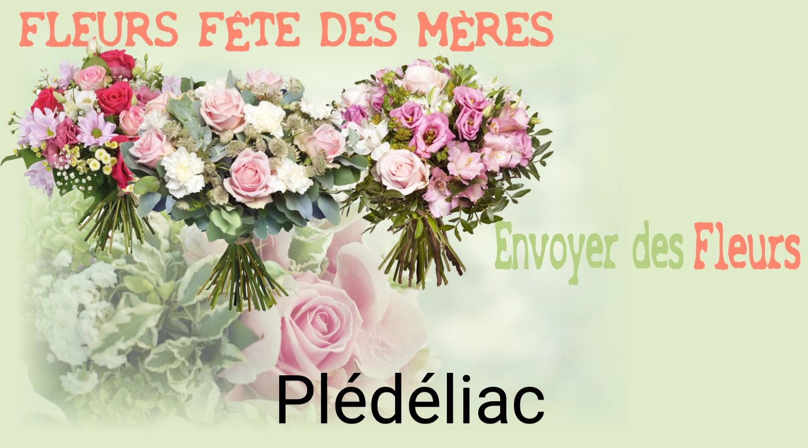 Bouquet de Fête des Mères livré à Plédéliac